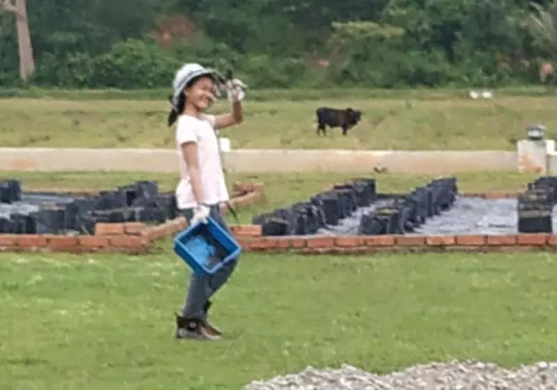 هتل Halcyon Days @ Langkawi