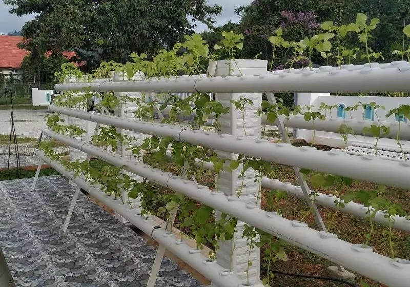 هتل Halcyon Days @ Langkawi