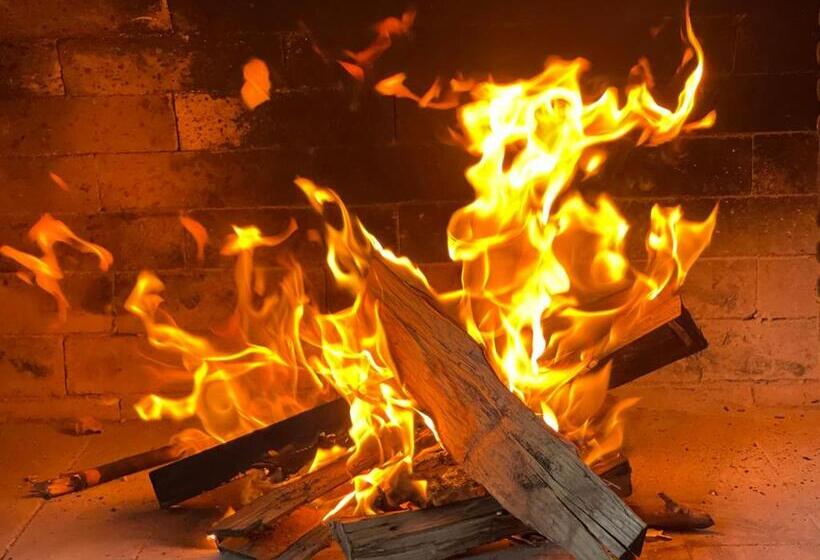 Banderitsa Apartments With Kitchen & Bbq