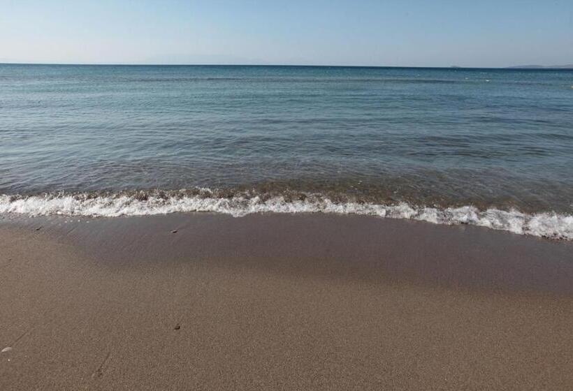 Club Yali Hotels & Resort   All Inclusive