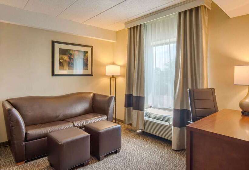 호텔 Comfort Suites Southpark