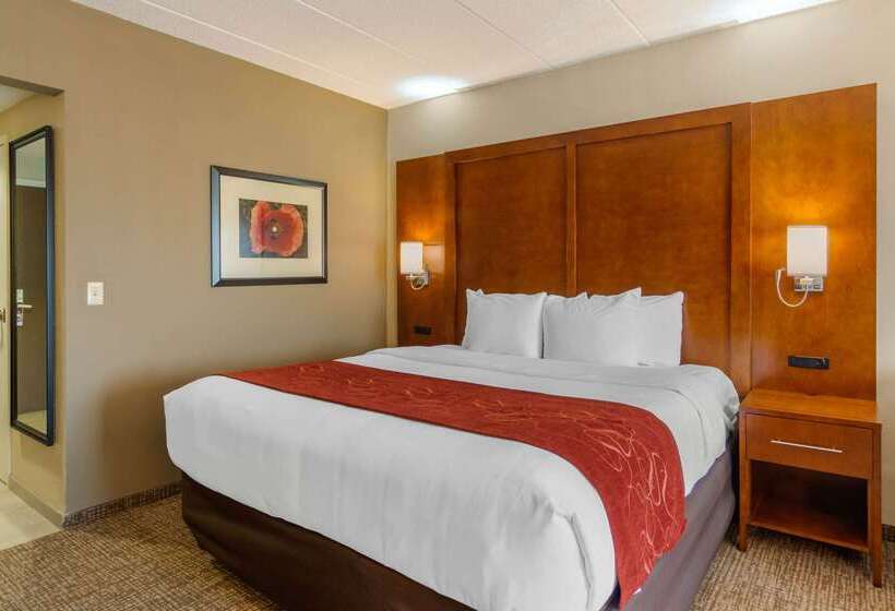 호텔 Comfort Suites Southpark