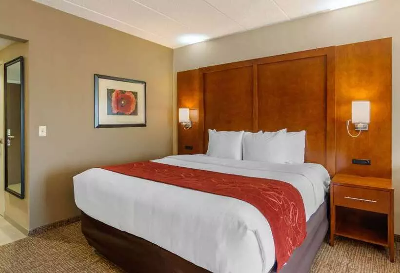 هتل Comfort Suites Southpark