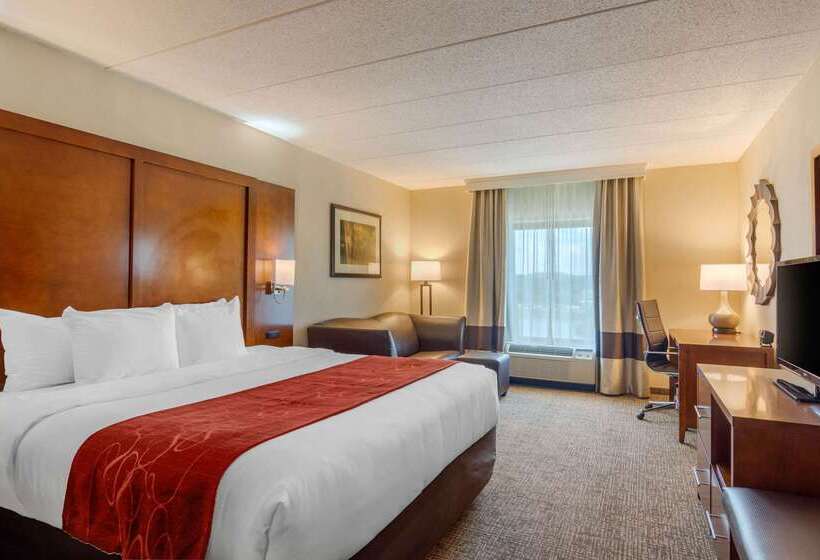 호텔 Comfort Suites Southpark