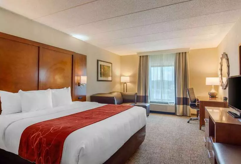 هتل Comfort Suites Southpark