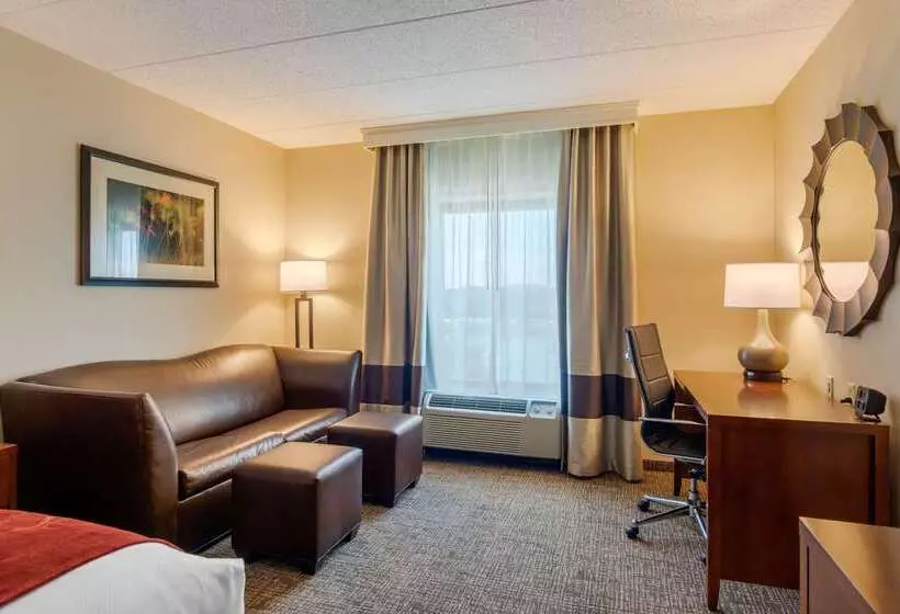 هتل Comfort Suites Southpark