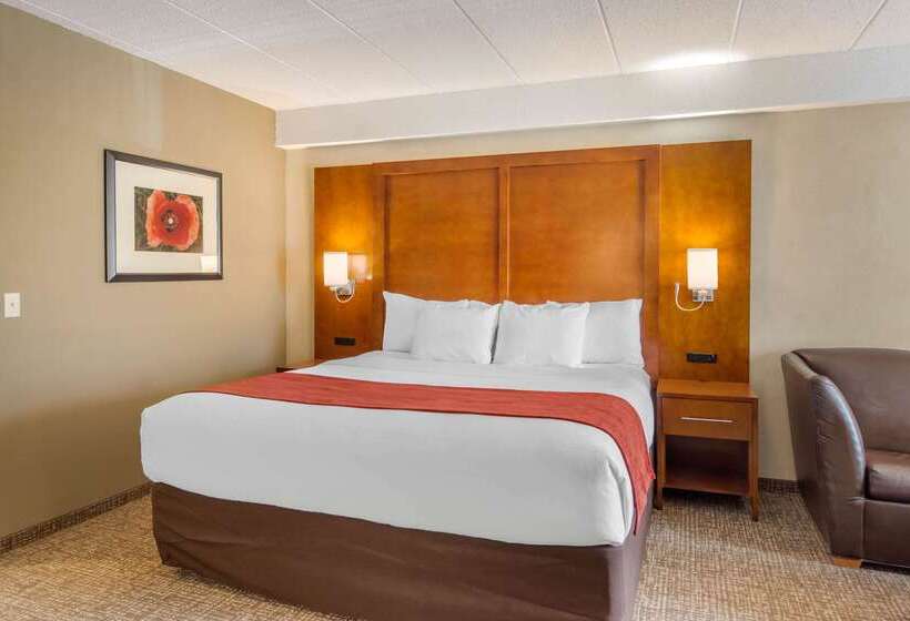 호텔 Comfort Suites Southpark