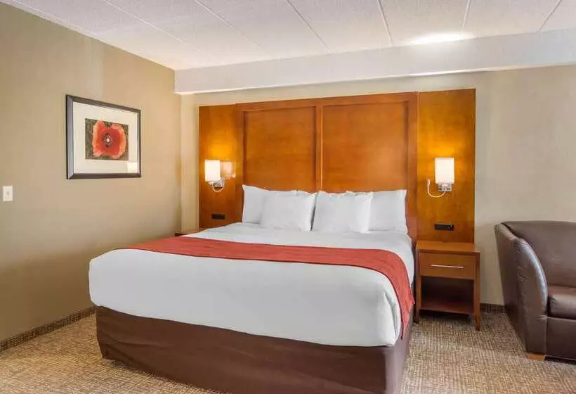 هتل Comfort Suites Southpark