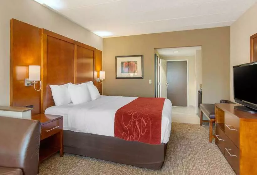 هتل Comfort Suites Southpark