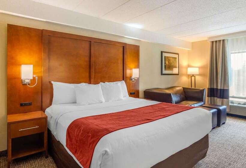 호텔 Comfort Suites Southpark