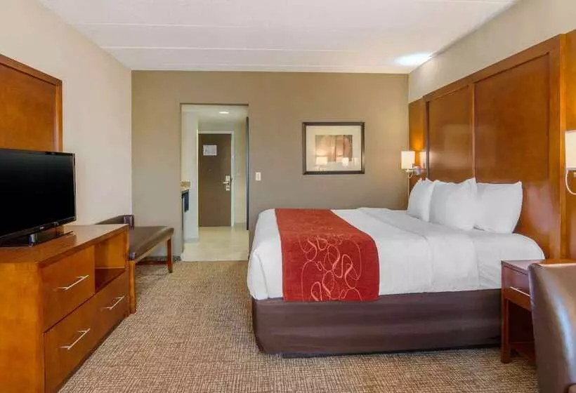 هتل Comfort Suites Southpark