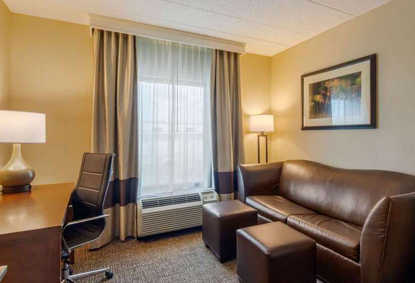 호텔 Comfort Suites Southpark