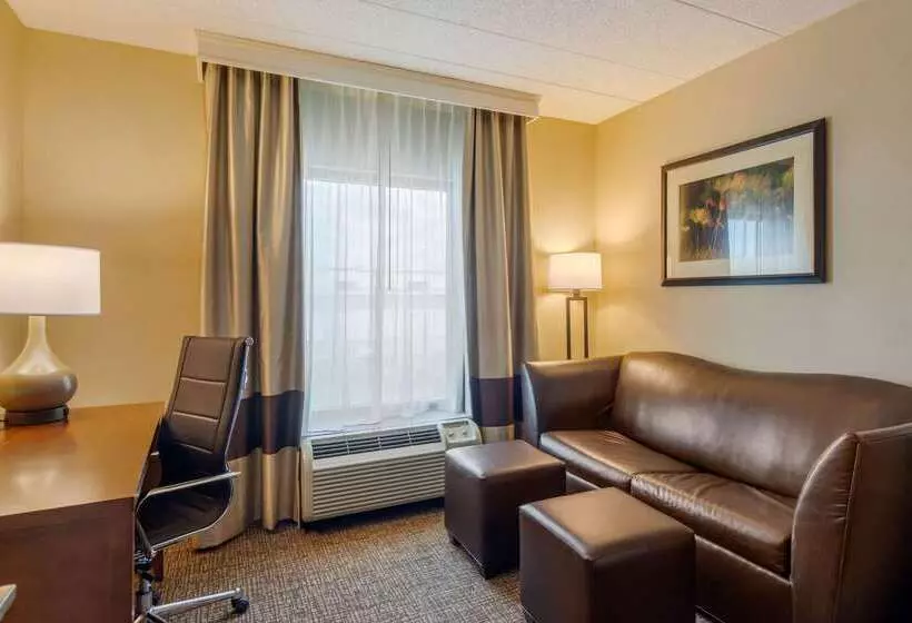 هتل Comfort Suites Southpark