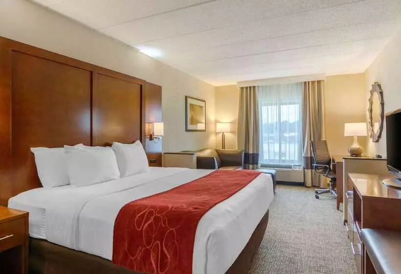 هتل Comfort Suites Southpark