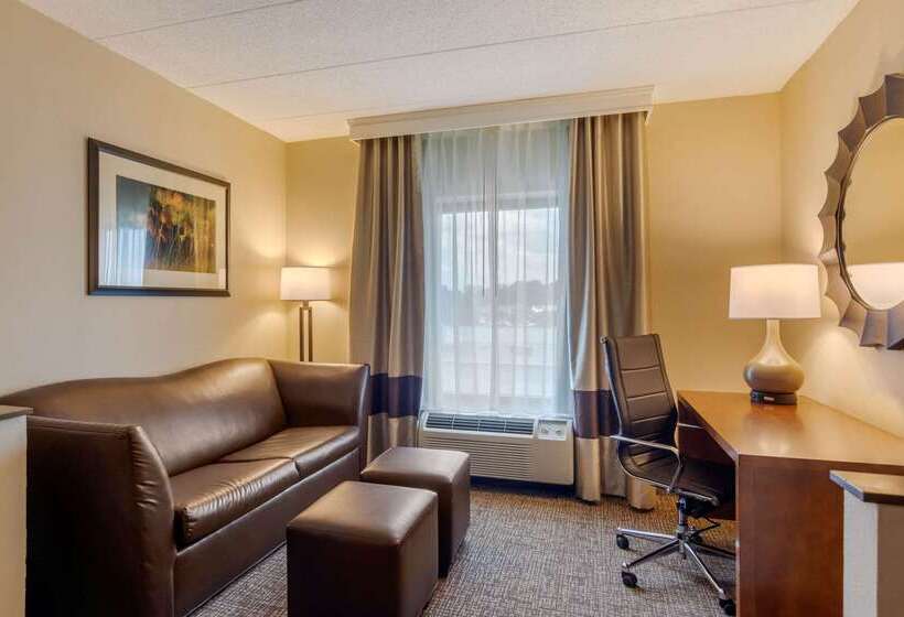 호텔 Comfort Suites Southpark