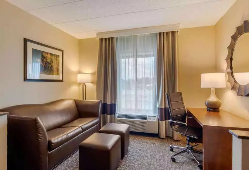 هتل Comfort Suites Southpark