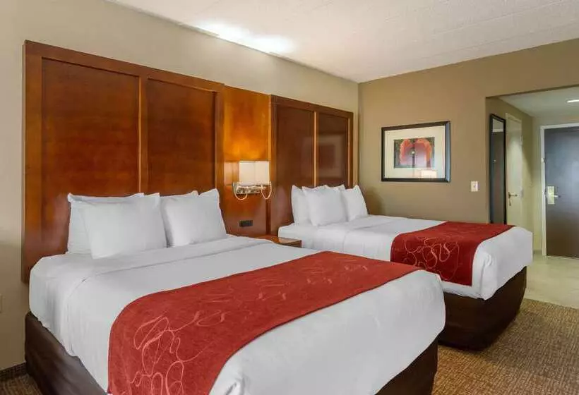 هتل Comfort Suites Southpark