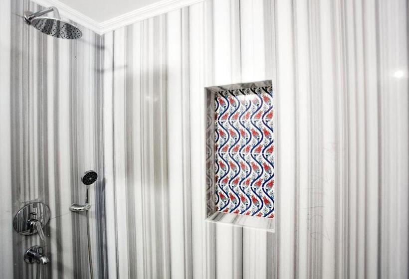 Garden House Hotel   Special Class