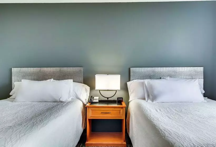 هتل Hilton Garden Inn Louisville Airport