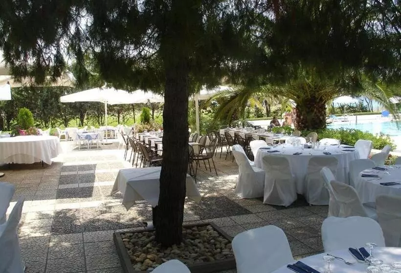 호텔 Kassandra Mare