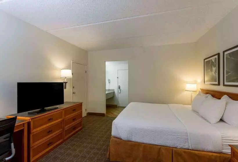 هتل La Quinta Inn & Suites By Wyndham Jacksonville Mandarin