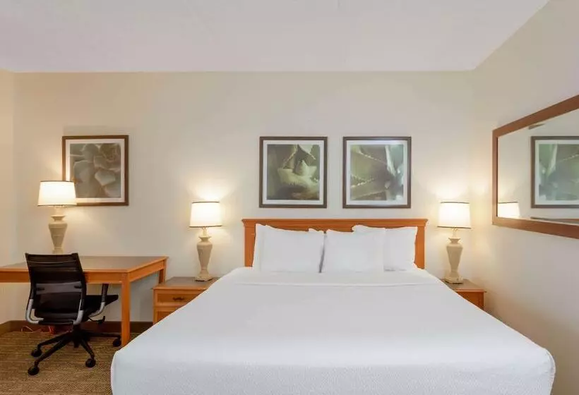 هتل La Quinta Inn & Suites By Wyndham Jacksonville Mandarin