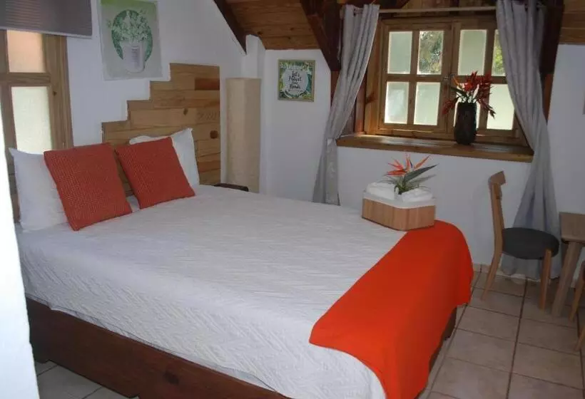 ホテル Rancho Constanza & Cabañas De La Montaña
