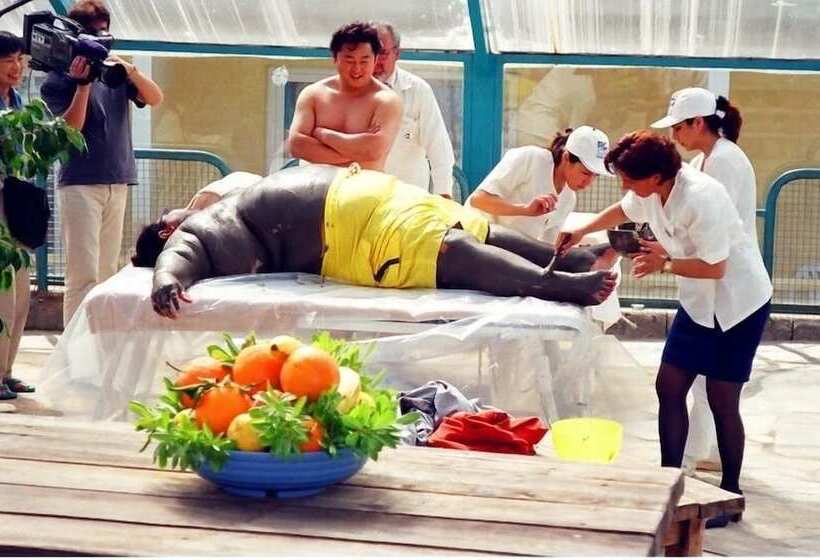 בית מלון כפרי Thermemaris Thermal & Spa Resort