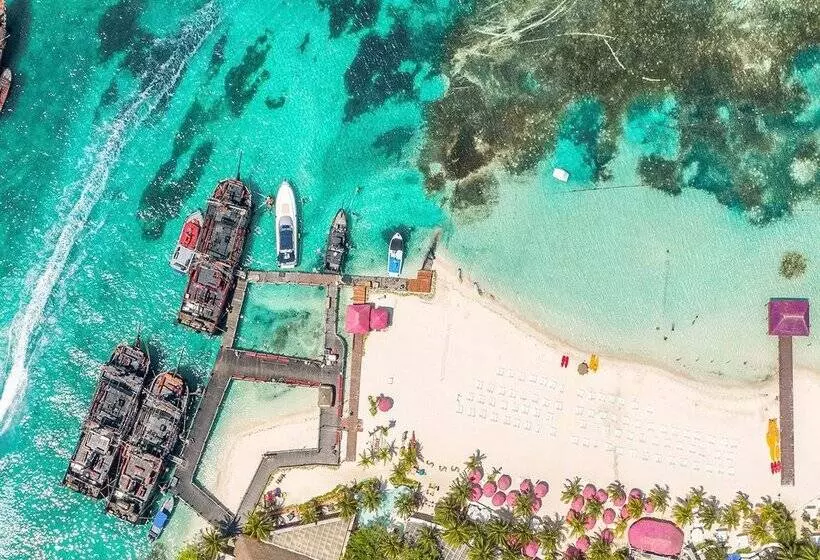 渡假胜地  Grand Oasis Palm