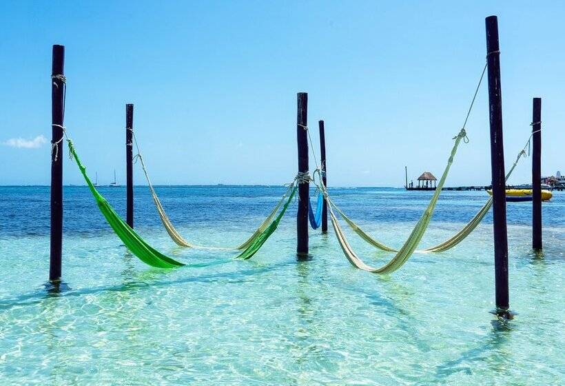 منتجع Grand Oasis Palm