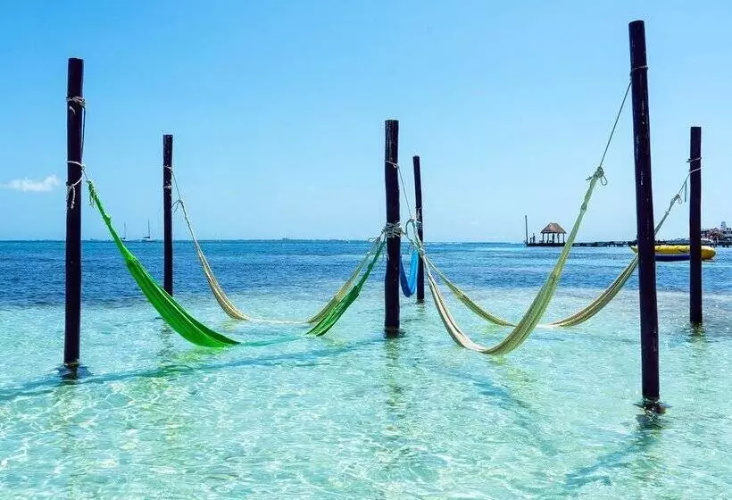 渡假胜地  Grand Oasis Palm