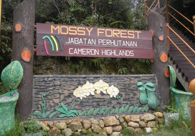 فندق Harmony Inn