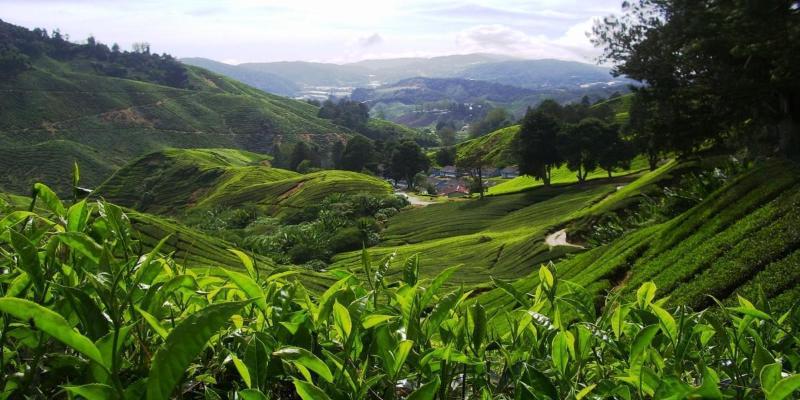 فندق Harmony Inn