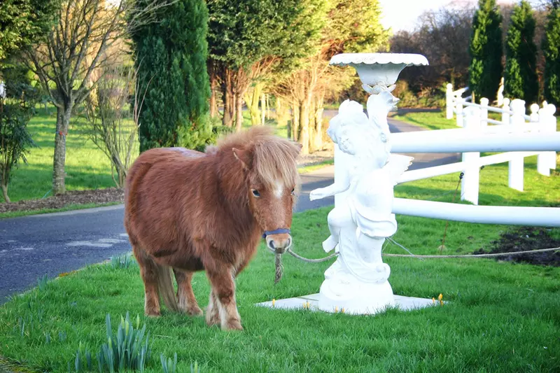 민박 Bed&Breakfast Arradale House