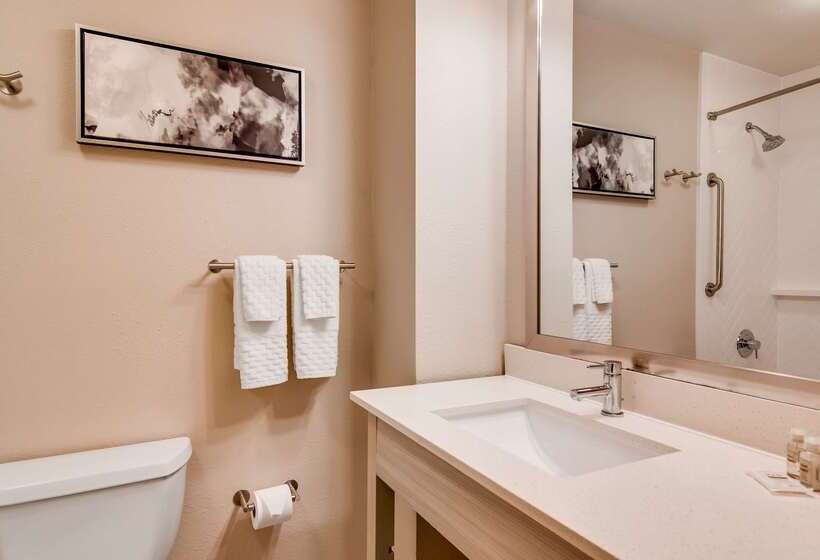 בית מלון כפרי Best Western Premier I95 Savannah Airport/ Pooler West