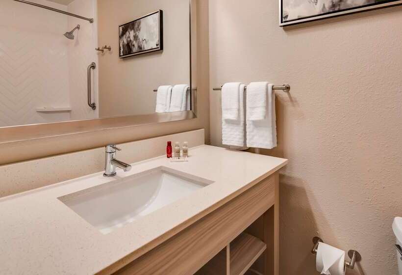 בית מלון כפרי Best Western Premier I95 Savannah Airport/ Pooler West