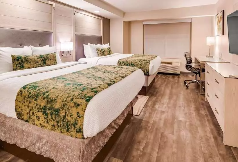 ホテル Best Western Premier I95 Savannah Airport/ Pooler West