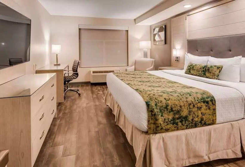 ホテル Best Western Premier I95 Savannah Airport/ Pooler West