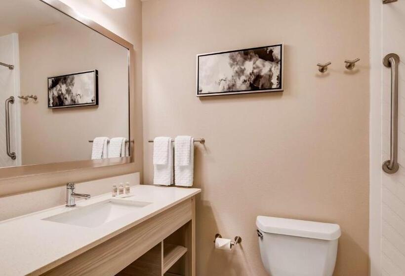 בית מלון כפרי Best Western Premier I95 Savannah Airport/ Pooler West