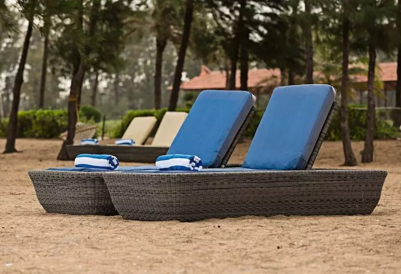 酒店 Chariot Beach Resort