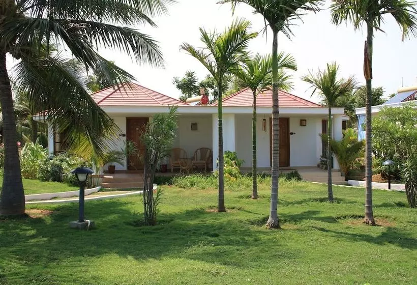 酒店 Chariot Beach Resort