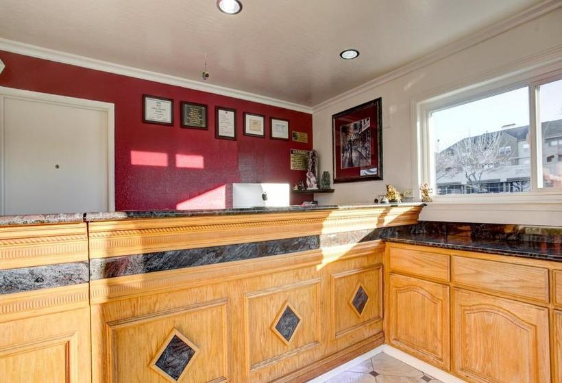 בית מלון כפרי Driftwood