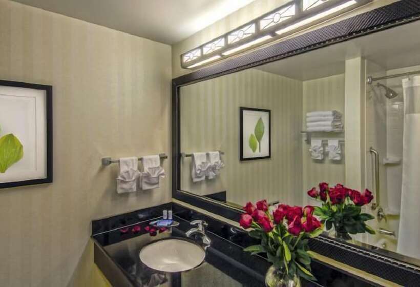 فندق Fairfield Inn & Suites Washington Dc