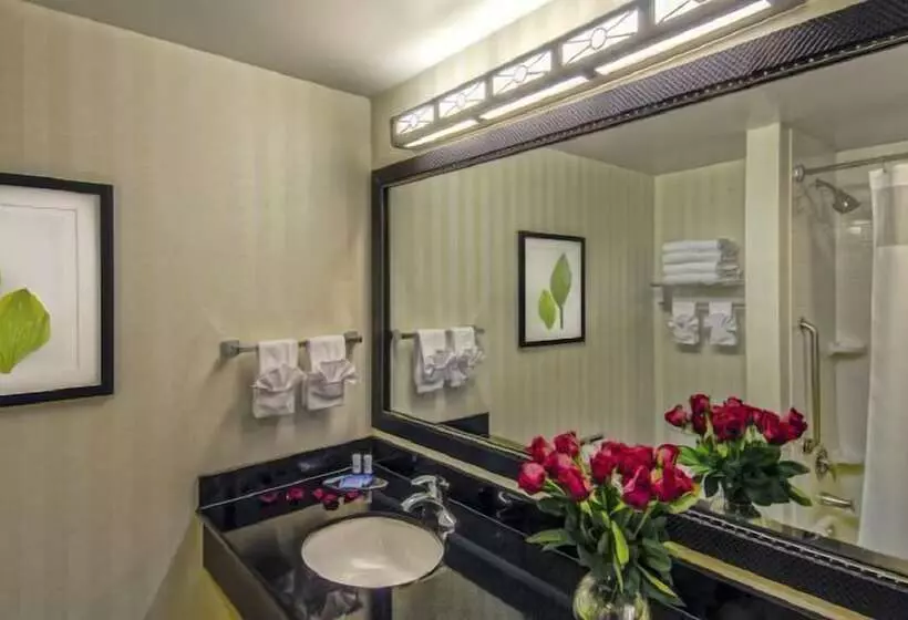 ホテル Fairfield Inn & Suites Washington Dc