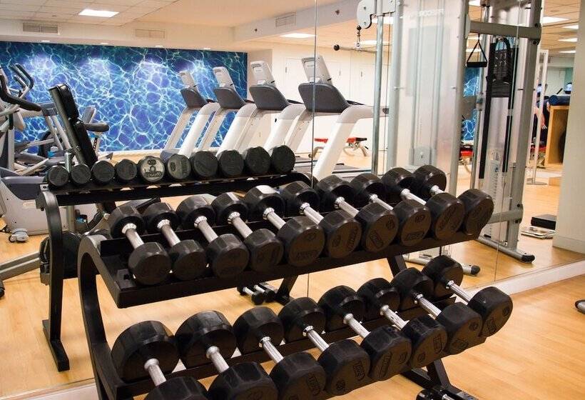 فندق The Platinum