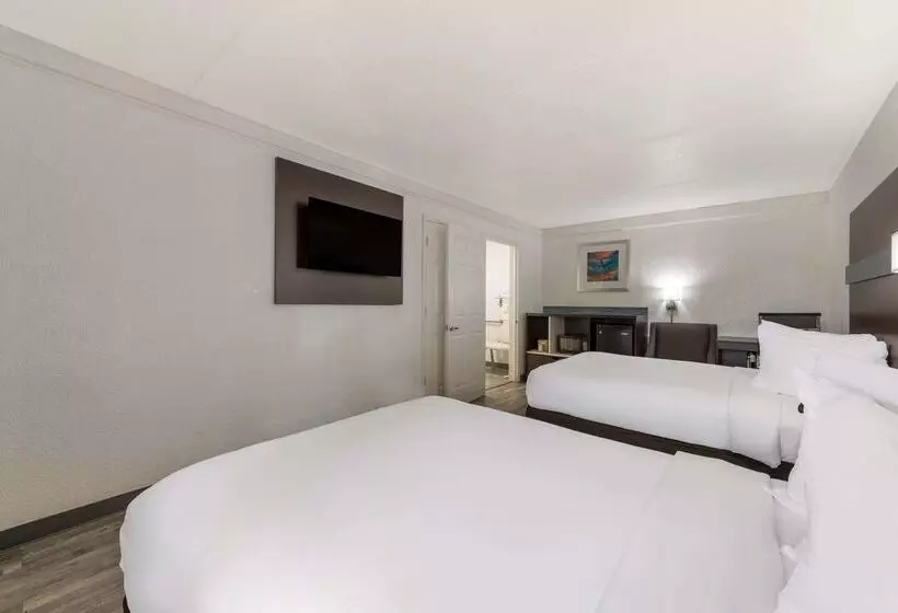 Otel Quality Inn & Suites Airport