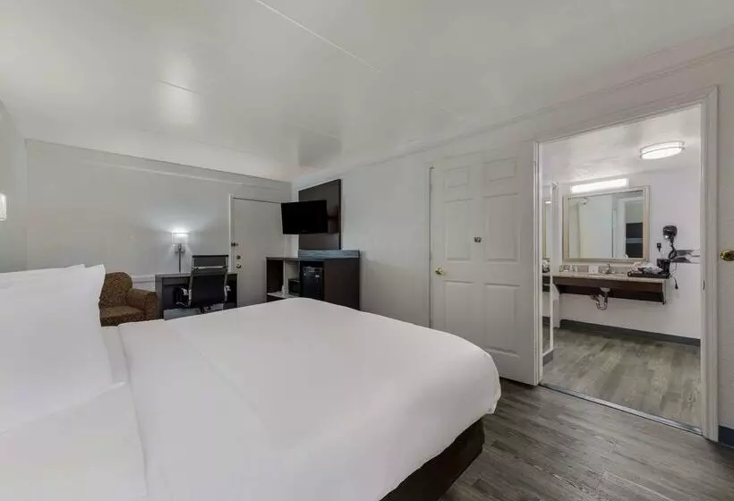 Otel Quality Inn & Suites Airport