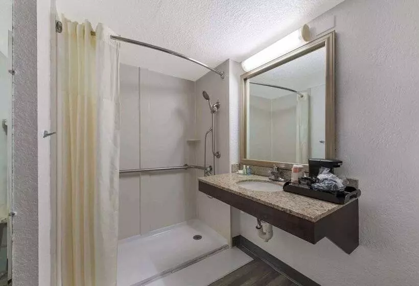 Otel Quality Inn & Suites Airport