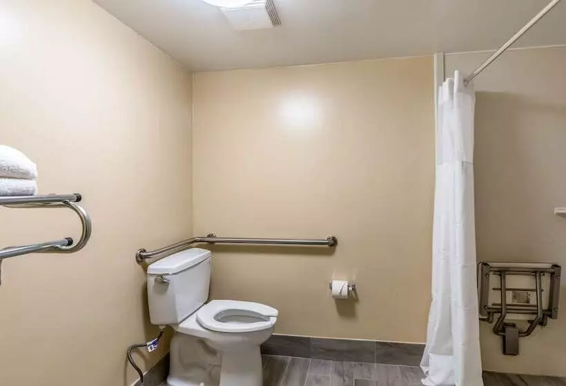 هتل Quality Inn Palm Beach International Airport