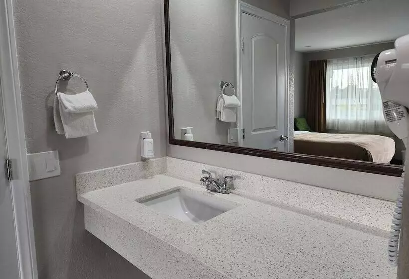 בית מלון כפרי The Grove At Pismo Beach